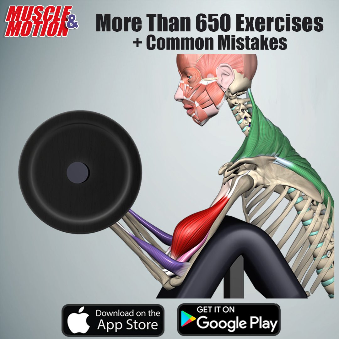 muscle motion oefeningen