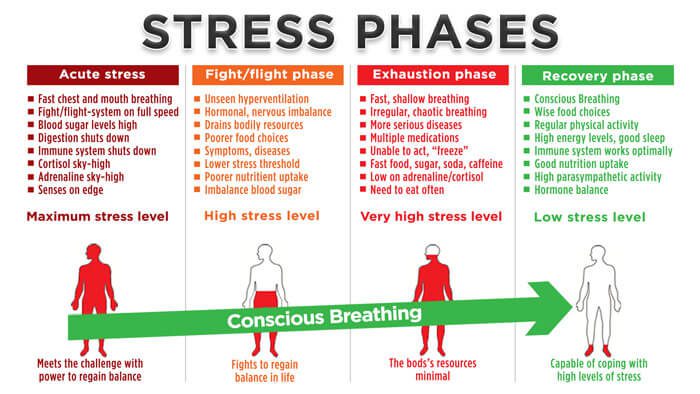 pijn en fasen stress